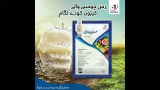 Matoi | Jaffer Agro Services