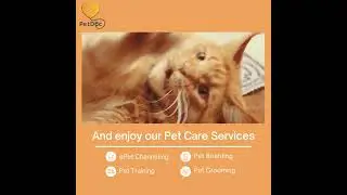 Download the PetDoc app and get the best care for your pet