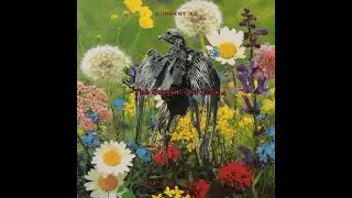 Current 93 - The Summer of Love