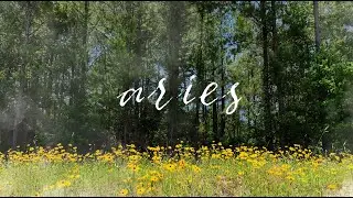 ARIES - &ldquo;Safe to Walk Away&rdquo; Mid-MAY 2020 💔