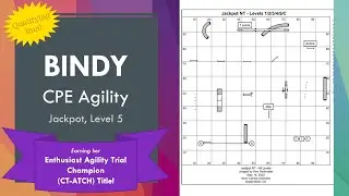 Bindy - CPE Agility - Jackpot, Level 5 - CT-ATCH Run! - 2022.05.14