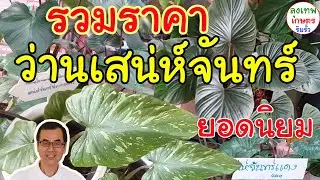 รวมราคา เสน่ห์จันทร์ หลายชนิด โกเมน ขาว เงิน ทอง ประกายดาว นาค เขียว แรง ขายดี ยอดนิยม : ลุงเทพเกษตร