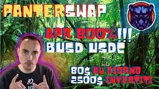 💰PANTERSWAP - YIELD FARMING 2500% - 80usd al giorno con  2500 usd investiti 💰