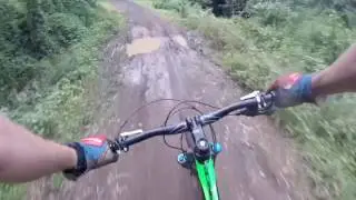 Giant Trance 2 2017