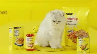 simple check&trade; commercial