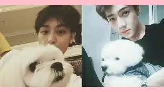 【Taohun Chinese Fanfic】《勋桃色养狗群》(叨叨记账短剧录屏)