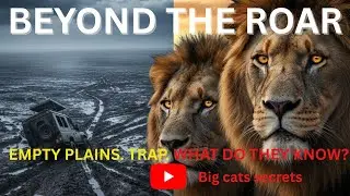 Beyond the Roar:Uncovering the secret intelligence of big cats