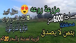 مزرعة جاهزة ferme magnifique