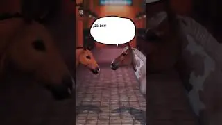 Дᥙᥴ ᥙ Т𐌲 ʙ ᧐ᥰᥙᥴᥲнᥙᥙ ≽/ᐠ - ˕ -マ≼ Ⳋ #BAD