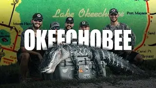 Giant Gator!! (Hooked In The Head) K Zone TV Presents: 