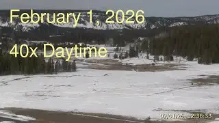 February 1, 2026 Upper Geyser Basin Daytime Streaming Camera Archive