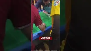 Subbuteo Carlitos goal
