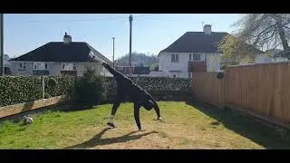 Oneface Mapacha  - BACKFLIP TRAINING TIME AT home uk