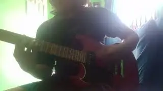 Bad Religion - Land of Endless Greed (guitar cover)