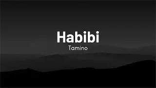 Tamino - Habibi (Lyrics)