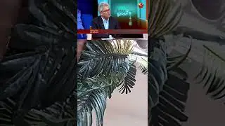 Jamat + Ncp jote k voy passy Masud kamal #চ্যানেল24 #নিউজ