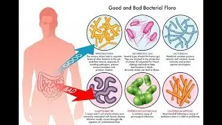 Microbiology of Bacterial Metabolic Behavior