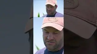 🌽 Любимый гибрид кукурузы этого фермера! #фермерство