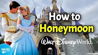 How to Honeymoon in Disney World