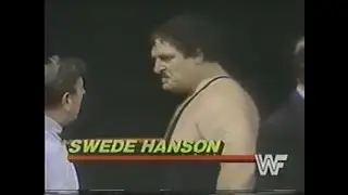 Hart Foundation vs Swede Hanson & Rick McGraw   All Star Wrestling June 9th, 1985