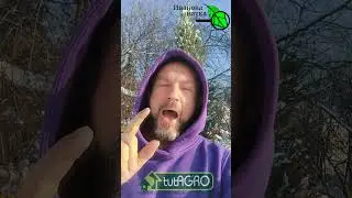 Чем быстрее, тем лучше! Вот что надо сделать с землёй для рассады так можно скорее.