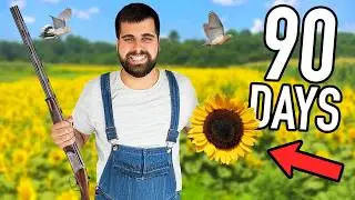 Start To Finish Sunflowers For Dove Hunting | BP FARMS 