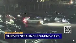Thieves stealing high-end cars