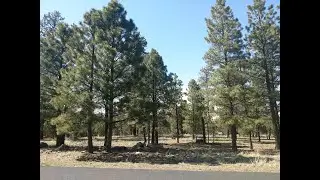 Tour video of listing at 4873 Starlight Drive, Happy Jack, AZ 86024 - Residential for sale