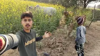Khet me gaay aa gyi 😯