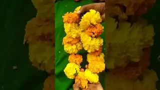 Marigold garland making| festival flower decoration| flower garland #shorts #diywithkukku
