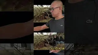 Lesson 1 Video 16: 