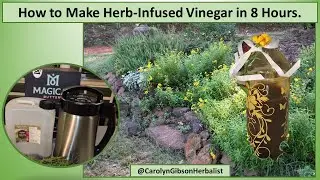Make an Herb Infused Vinegar in 8 hours with the Magical Butter Machine
