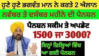 2500 ਦਸੰਬਰ ਪੈਨਸ਼ਨ | 2500 pension scheme in punjab 2025 |1000 ਮਹਿਲਾ ਪੈਨਸ਼ਨ ਸਕੀਮ |2500 budhapa pension