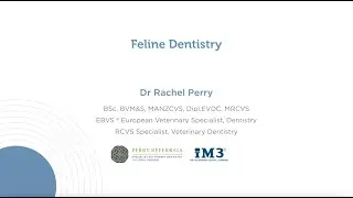 Feline Dentistry