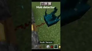 Mob Detector