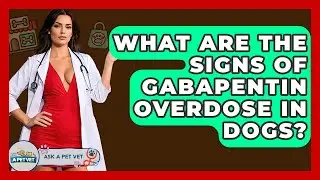 What Are The Signs Of Gabapentin Overdose In Dogs? - Ask A Pet Vet