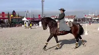 Nicole e Hábil - Prova Maneabilidade