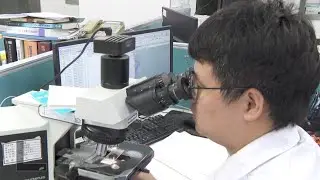 New AI model predicts cancer gene mutations in one minute