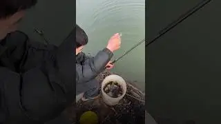 Curve fishing video#shorts #fishing @AdiFishman @RAWWFishing @Banglaamar195