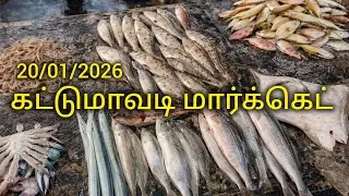 20/01/2026 இன்றைய கட்டுமாவடி மார்க்கெட் மீன்கள் ஏலம் 🐟🐟🦐🦀🦈🐟
