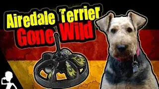 AIREDALE TERRIER GONE WILD | Get Germanized
