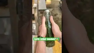 Sprite selber machen?😱🥤#landkind #sprite #pinepop #selbermachen #rezept #getr&auml;nk #dorfkind #pinie