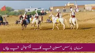 Khan Horsemanship Club Championship Piplan  | Traditional Horse Riding & Skills Competition
