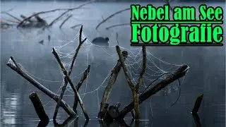 Morgennebel am See – Naturaufnahmen & Fotografie
