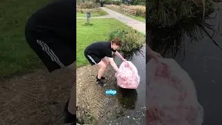 Строительство хрустящей пакетбота