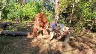 Sasquatch Scout Skills All long