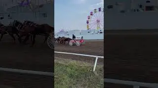 The GX94 Chuckwagon and Kelvin Hawreluik had a 5th place run out of 43 wagons last night. -Danny
