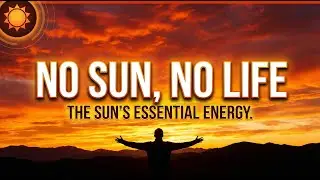 &ldquo;No Sun, No Life