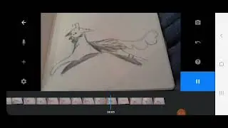Butterfly (le chat hybride) run cycle | Animation Stop Motion sur papier