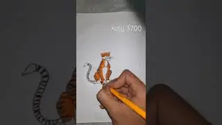 Best Creative Tiger Drawing #Shorts